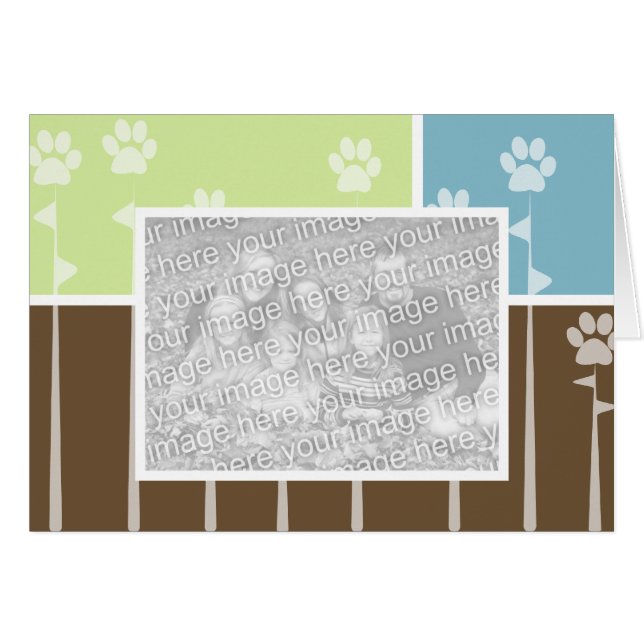 Cartes photos de pattes de ressort (Devant horizontal)