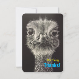 Cartes plates de Merci