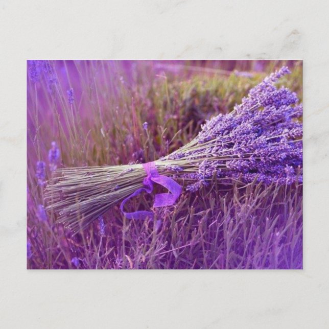 Cartes postale bouquet de lavandes (Devant)