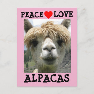 CARTES POSTALES ALPACA LOVE