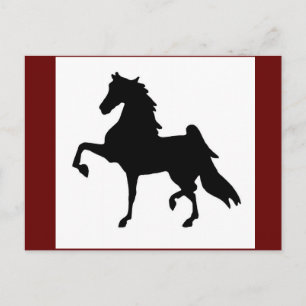 Cartes postales - American Saddlebred Silhoutte
