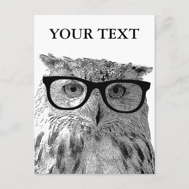 Cartes postales amusantes pour animaux | Chouette  (Devant)