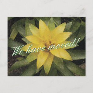 Cartes postales animées florales avec fleur jaune