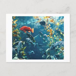 Cartes postales Aquarium