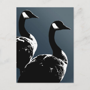 Cartes postales Canada Custom Canada Goose Cartes 