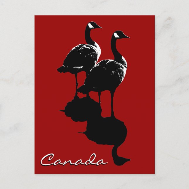 Cartes postales Canada Souvenir Cartes Canada Oies (Devant)