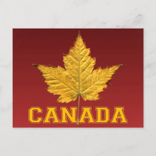Cartes postales Canada Varsity Canada