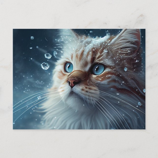 Cartes Postales Cat Divers (Devant)