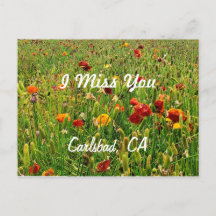 Cartes postales : Champs de fleurs, Carlsbad, CA