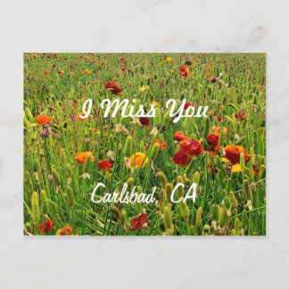 Cartes postales : Champs de fleurs, Carlsbad, CA