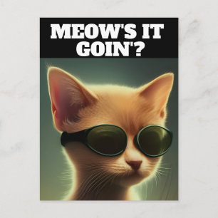 Cartes postales CHATON ROUX ART LUNETTES DE SOLEIL