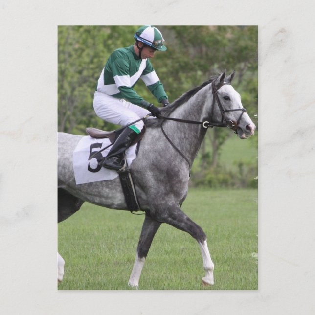 Cartes postales Cheval de course gris applaudi (Devant)