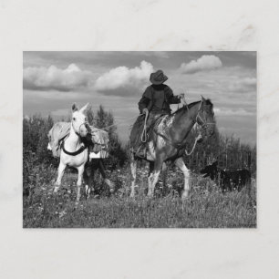 Cartes postales Cowboy Horse et Mule