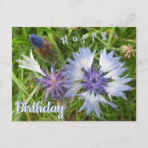 Cartes postales d'anniversaire Fleurs sauvages : B