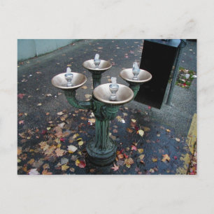 Cartes postales de Benson Bubbler Portland Oregon