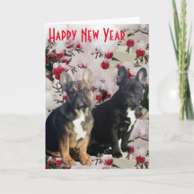 Cartes postales de Bouledogues français Bonne anné