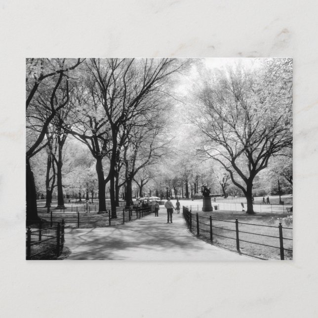 Cartes postales de Central Park (Devant)
