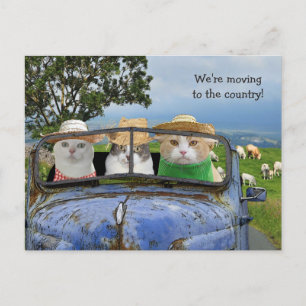 Cartes postales de chats drôles qui déménagent