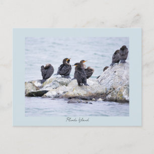 Cartes postales de cormorans Rhode Island