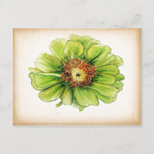 Cartes postales de dessins botaniques