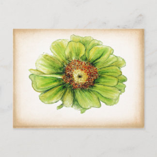 Cartes postales de dessins botaniques