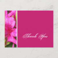 Cartes postales de fleurs d'azalée rose merci