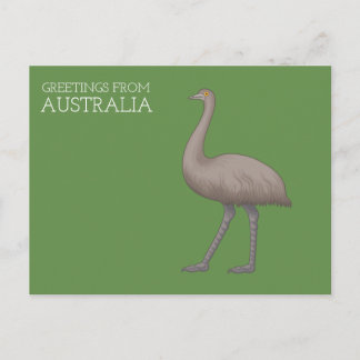 Cartes postales de l'émeu australien