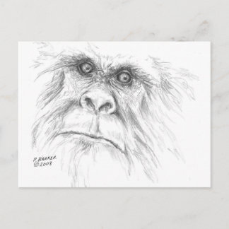 Cartes postales de LTB