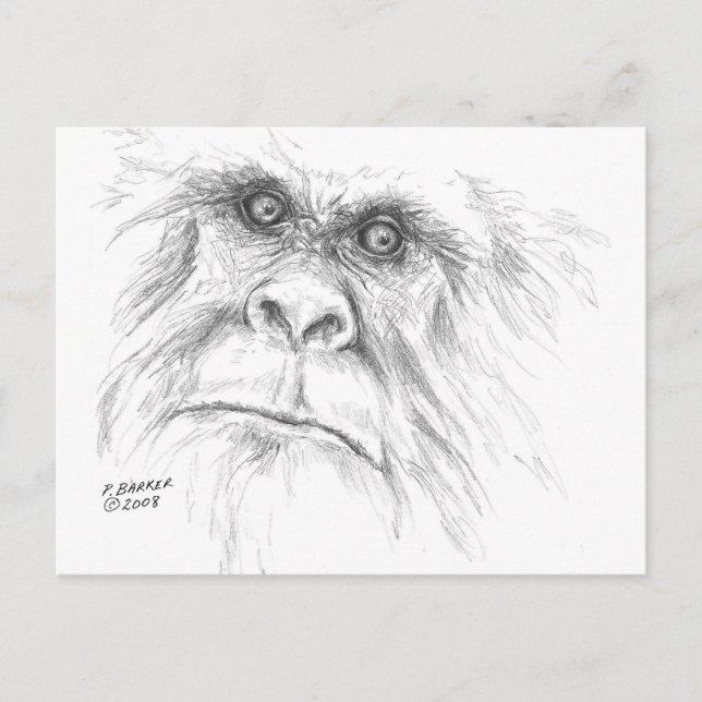 Cartes postales de LTB (Devant)