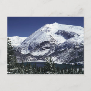 Cartes postales de montagne de Milou le Colorado