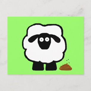 Cartes postales de mouton vides