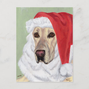 Cartes postales de Noël du Labrador jaune Père Noë