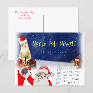 Cartes postales de Noël Pôle Nord Père Noël Kitten