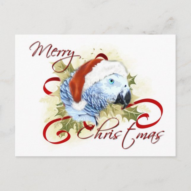 Cartes postales de Noël pour le perroquet gris d'A (Devant)