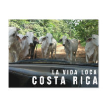 Cartes postales de Paradise Vacances Photo Carte p