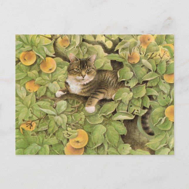 Cartes postales de peinture de chat (Devant)