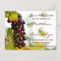 Cartes postales de vignoble de raisins de cave à v