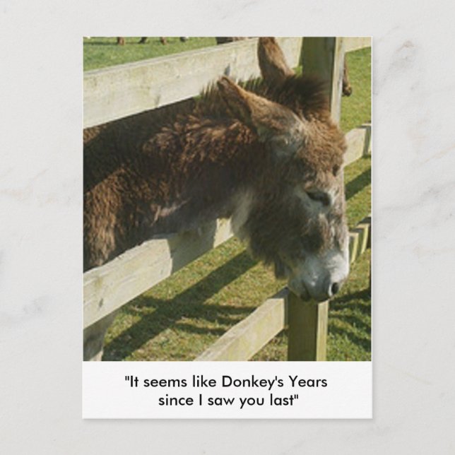 Cartes postales de voeux Donkey (Devant)