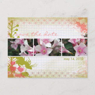 Cartes postales DesertBotanicals - floral graphiqu