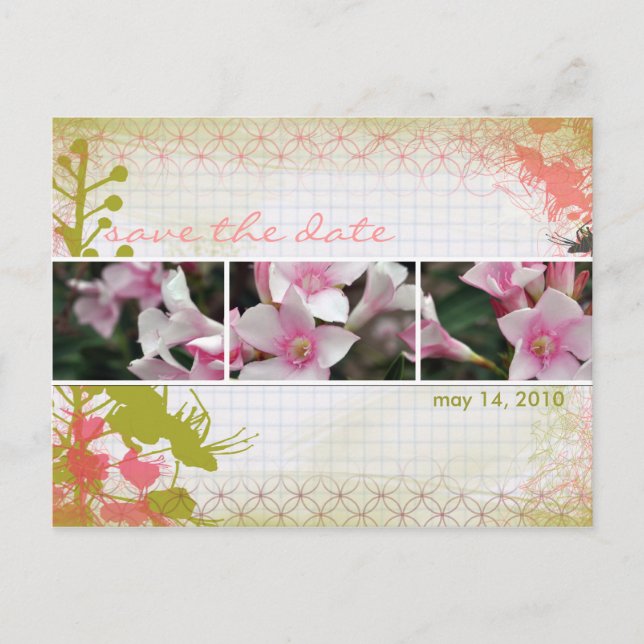 Cartes postales DesertBotanicals - floral graphiqu (Devant)