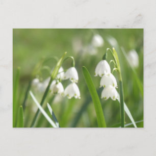 Cartes postales DIY Flocons d'été