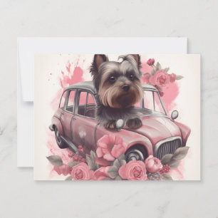 Cartes Postales Dog Yorkshire Postkarte