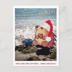 CARTES POSTALES DU BORD