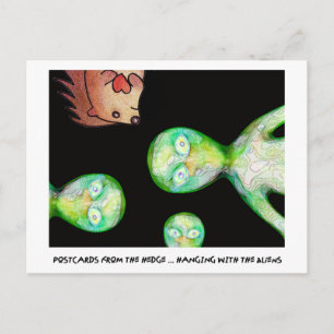 CARTES POSTALES DU BORD !