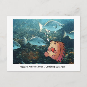 CARTES POSTALES DU BORD !