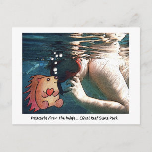 CARTES POSTALES DU BORD !