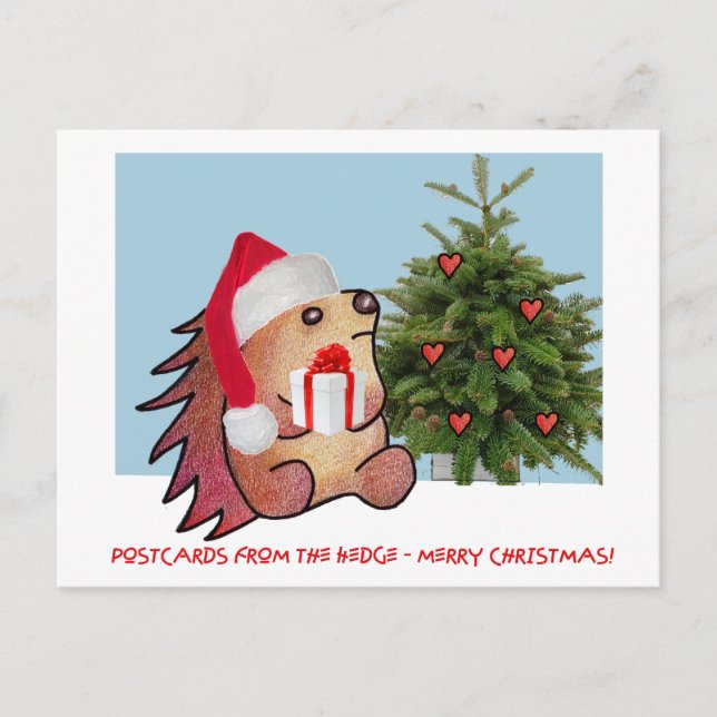 CARTES POSTALES DU BORD (Devant)