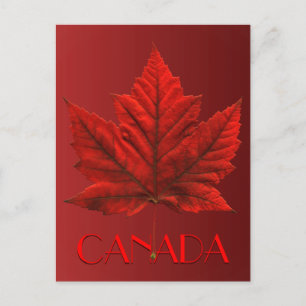 Cartes postales du Canada Carte postale Souvenir d