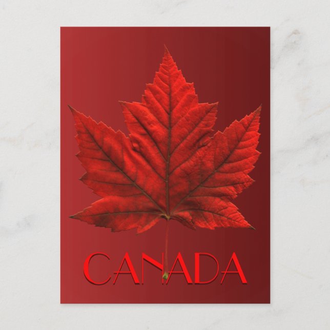 Cartes postales du Canada Carte postale Souvenir d (Devant)