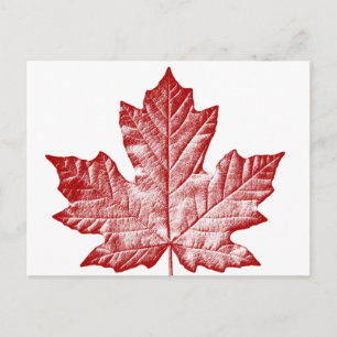 Cartes postales du Canada Cartes postales Cool sou
